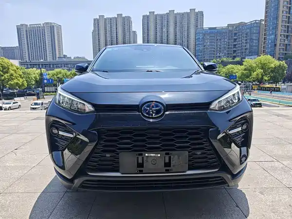Toyota Wildlander 2020