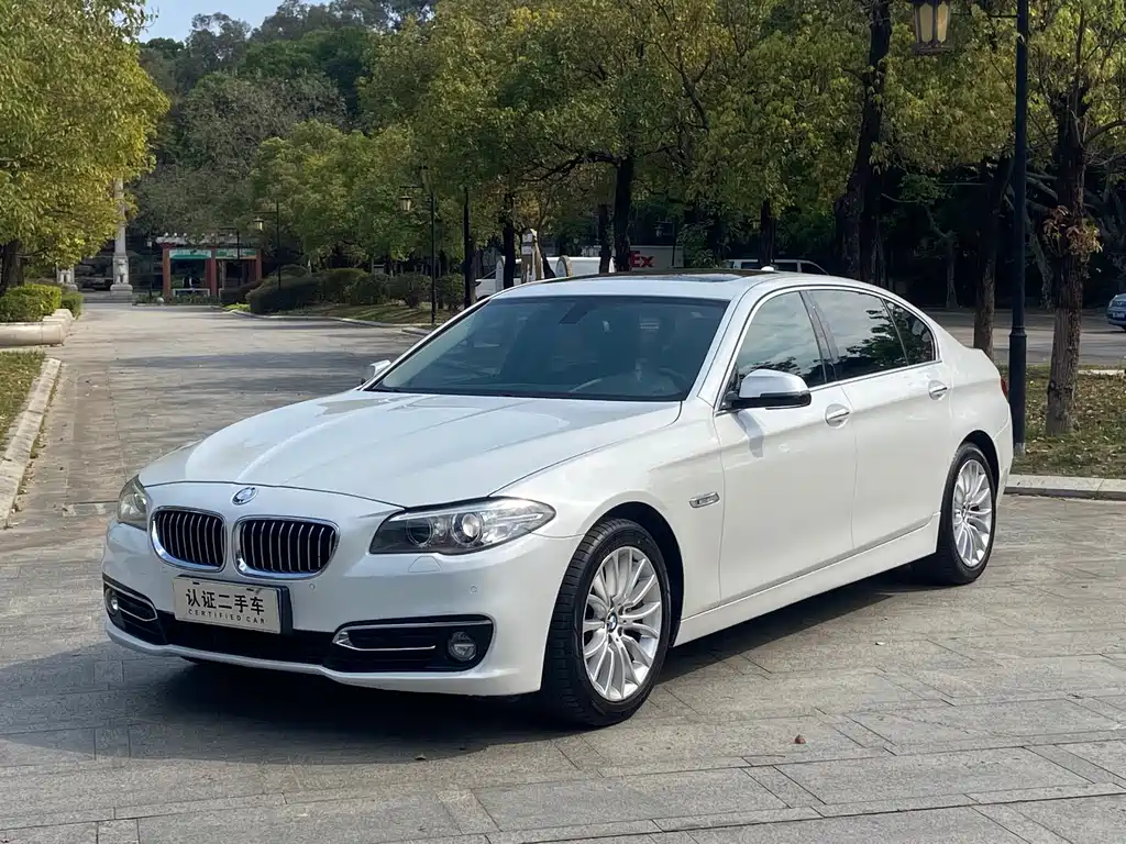 BMW 5 Series 2016 — фото 1