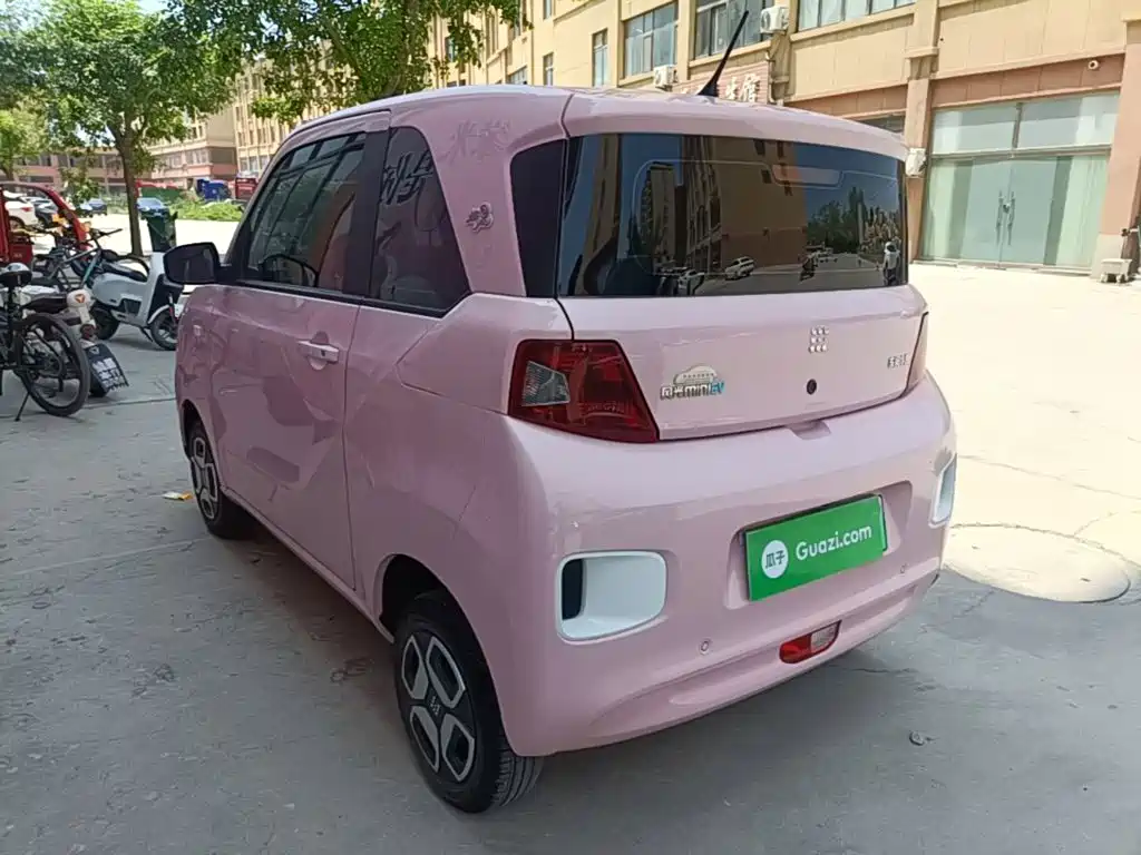 Fengguang MINIEV 2024