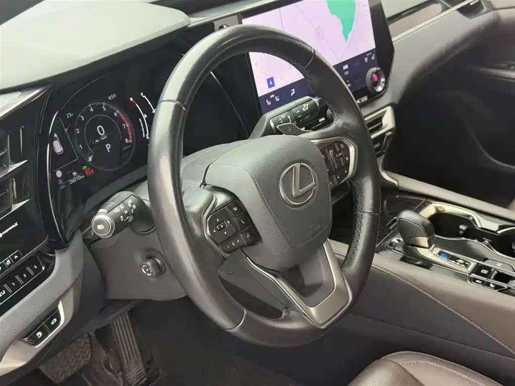 Lexus RX 2023 — фото 15