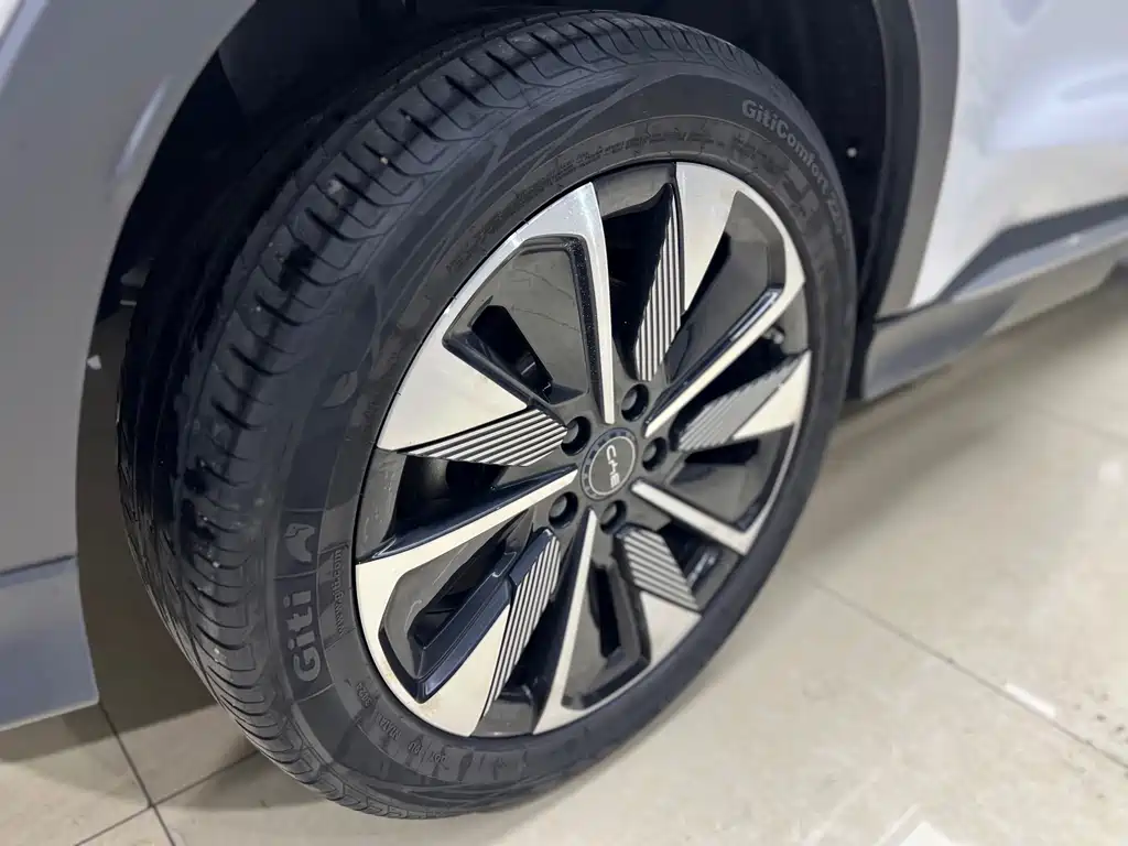 BYD Song PLUS New Energy 2024 — фото 18