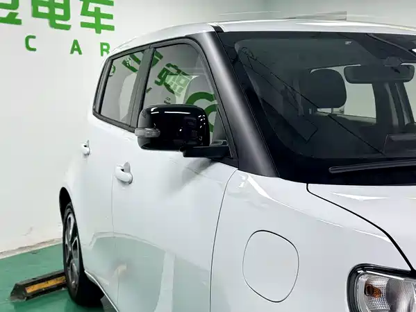 Ora White Cat 2021