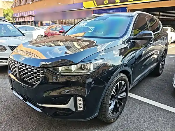 Wey VV6 2020