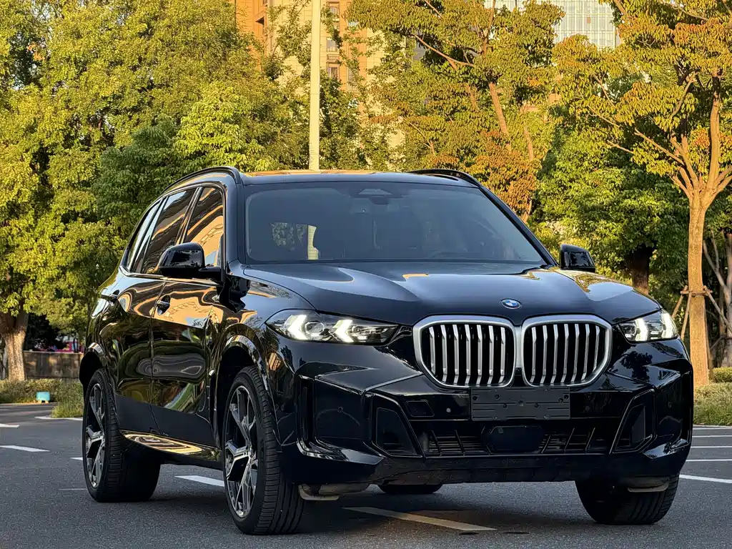 BMW X5 2025 — фото 3