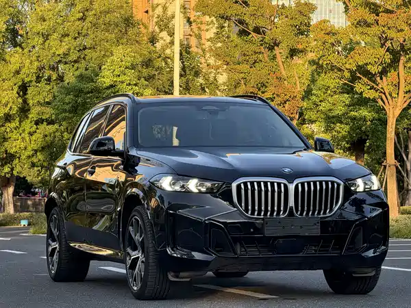 BMW X5 2025