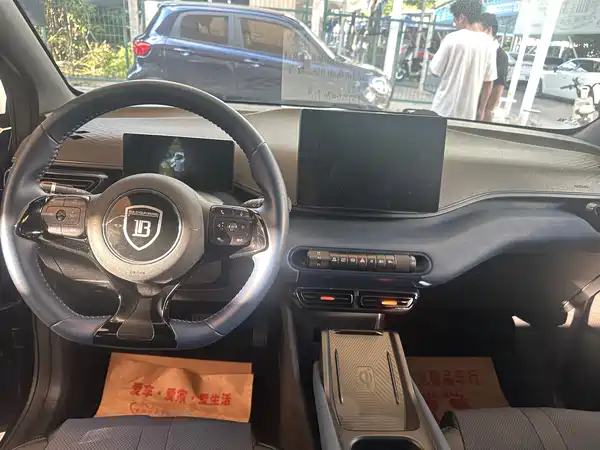 BYD Seagull 2024