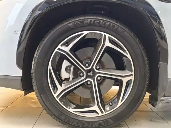 Neta L 2024