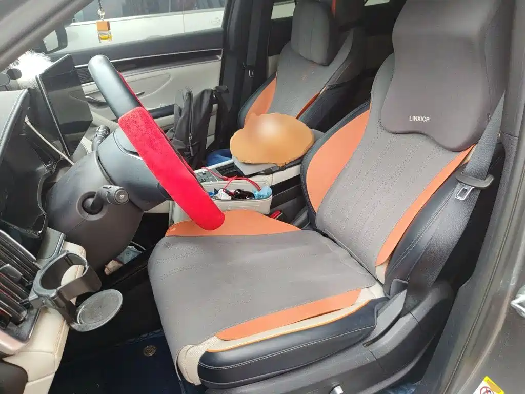 BYD Song PLUS New Energy 2022 — фото 11