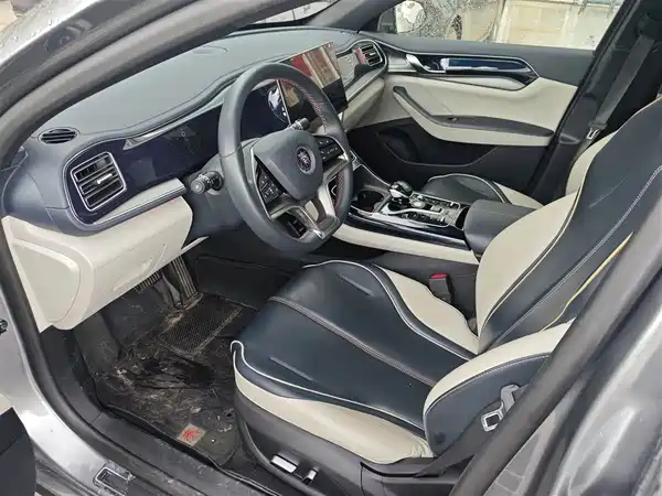 BYD Qin PLUS 2021