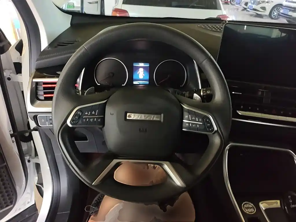 Haval H6 2023 — фото 11