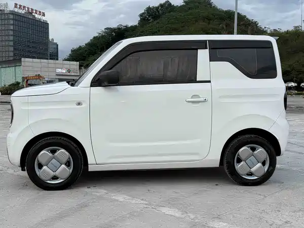 Geely Galaxy Panda 2024