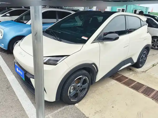 BYD Seagull 2024