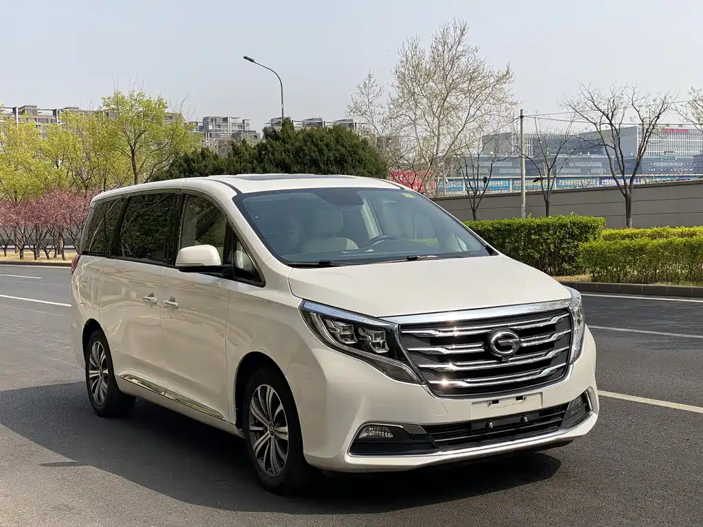GAC Motor Trumpchi M8 2018 — фото 6