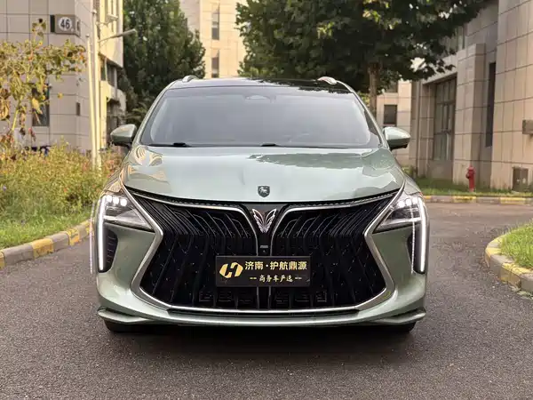 Dongfeng Popular Yacht 2024