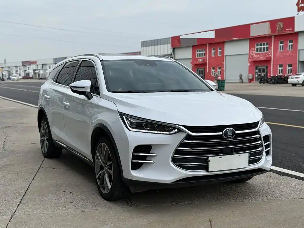 BYD Tang New Energy 2020 — фото 3
