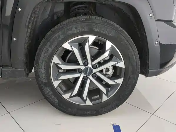 Haval Dog PLUS 2024