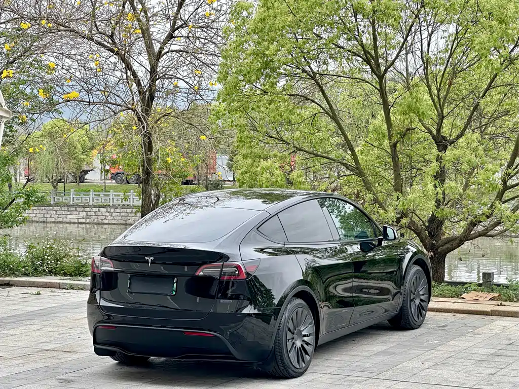 Tesla Model Y 2023 — фото 4