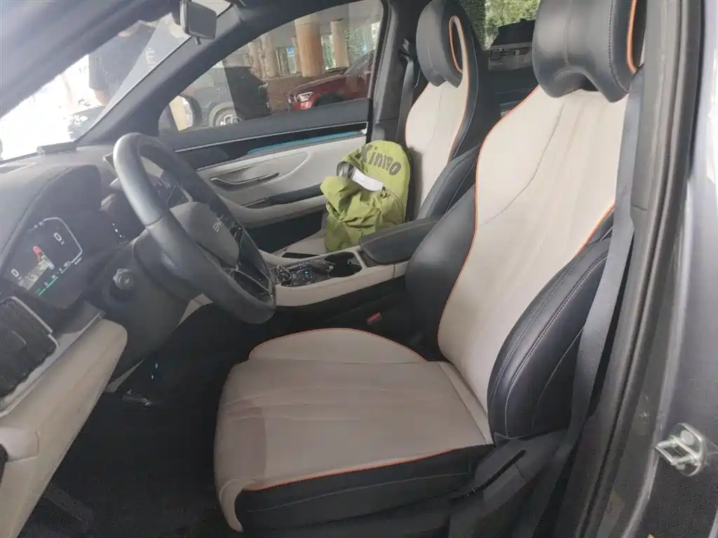 BYD PLUS New Energy 2023 — фото 16
