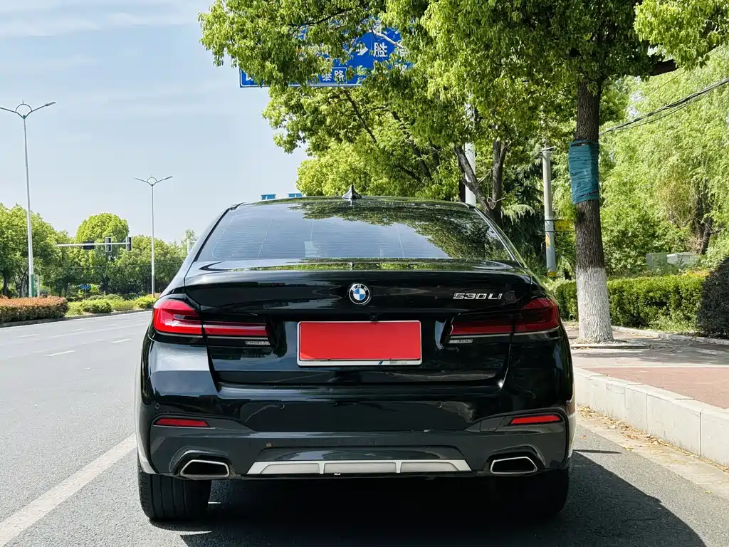 BMW 5 Series 2022
