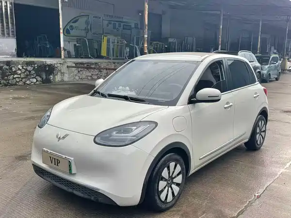 Wuling Bingo 2025