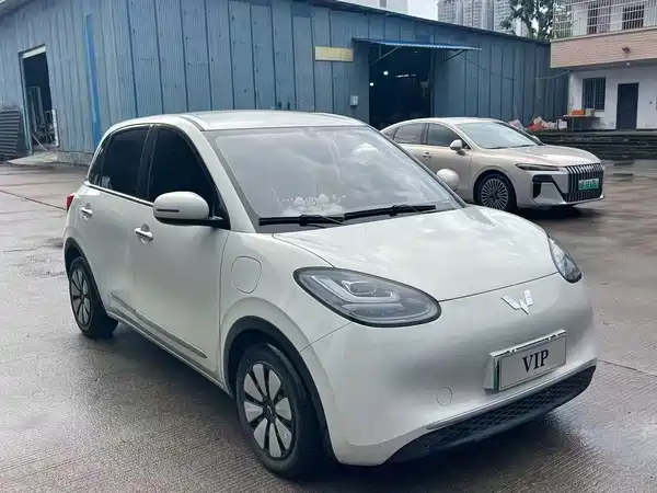 Wuling Bingo 2025