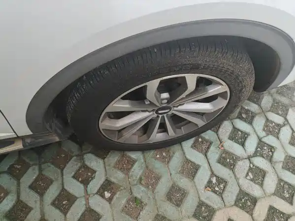 Wey VV6 2019