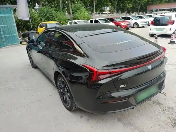 Neta S 2024