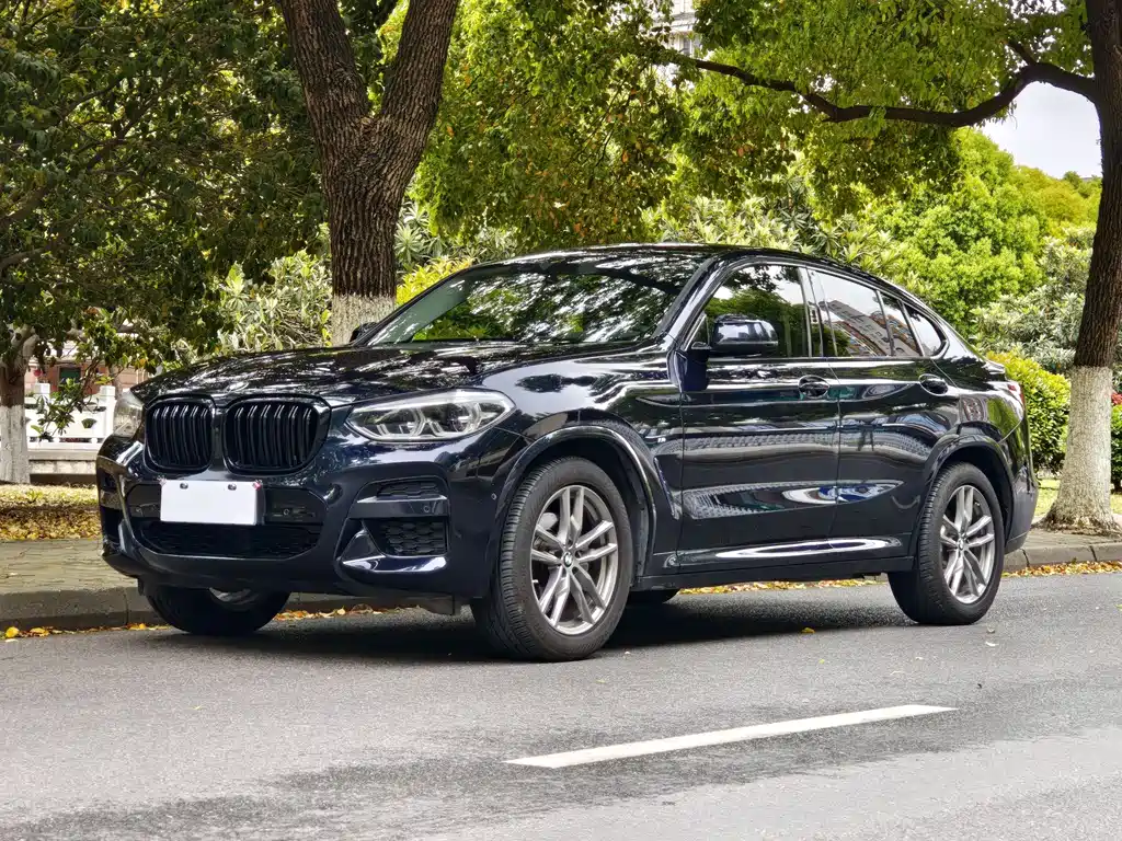 BMW X4 2020 — фото 1