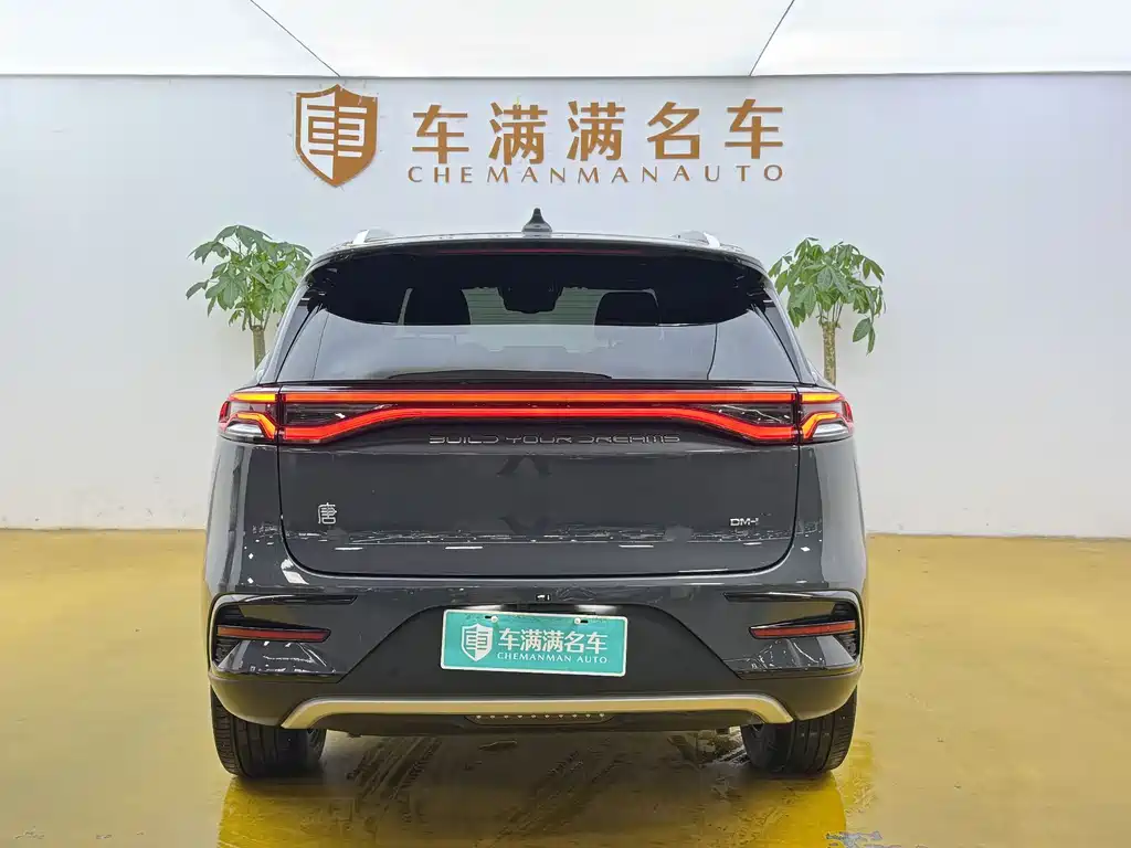 BYD Tang New Energy 2024 — фото 11