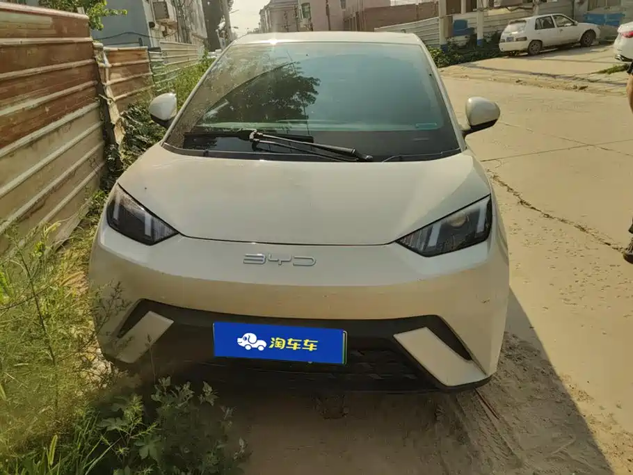 BYD Seagull 2024