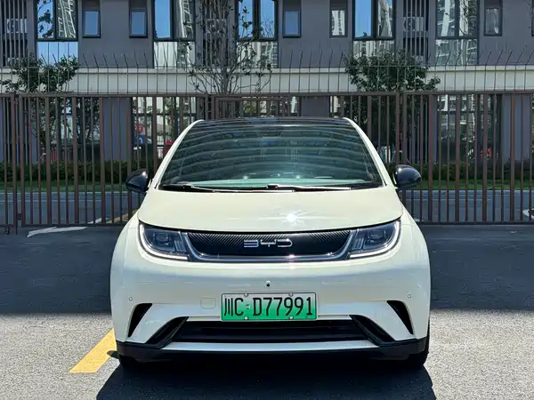 BYD Dolphin 2023