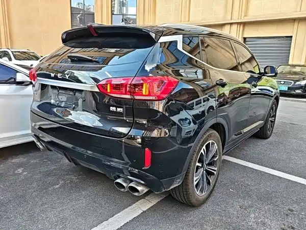 Wey VV6 2020