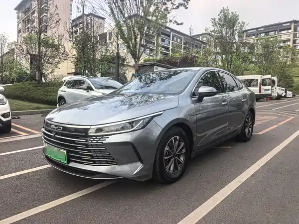 BYD Destroyer 05 2024