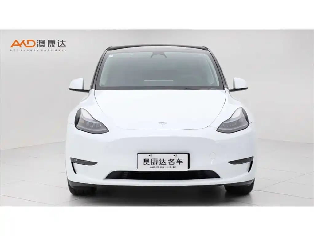 Tesla Model Y 2023 — фото 2
