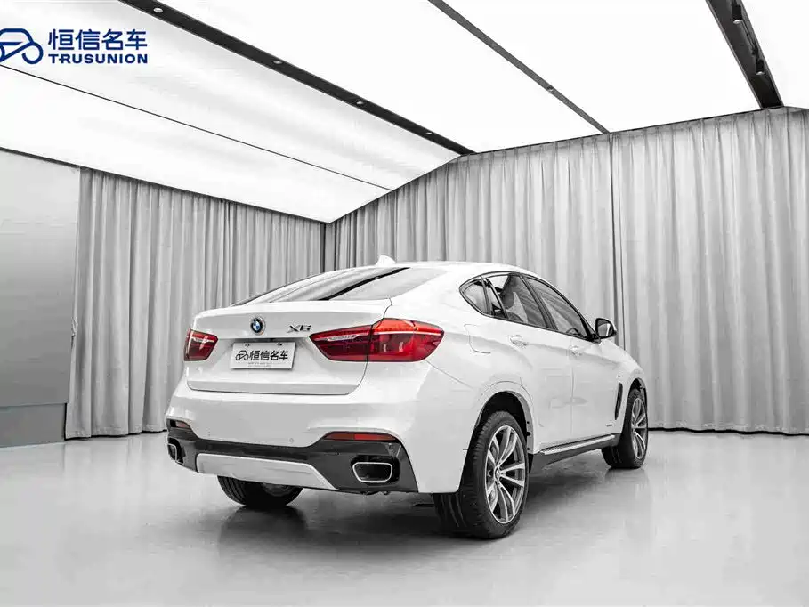 BMW X6 2019 — фото 5