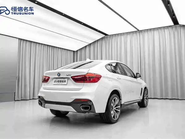 BMW X6 2019