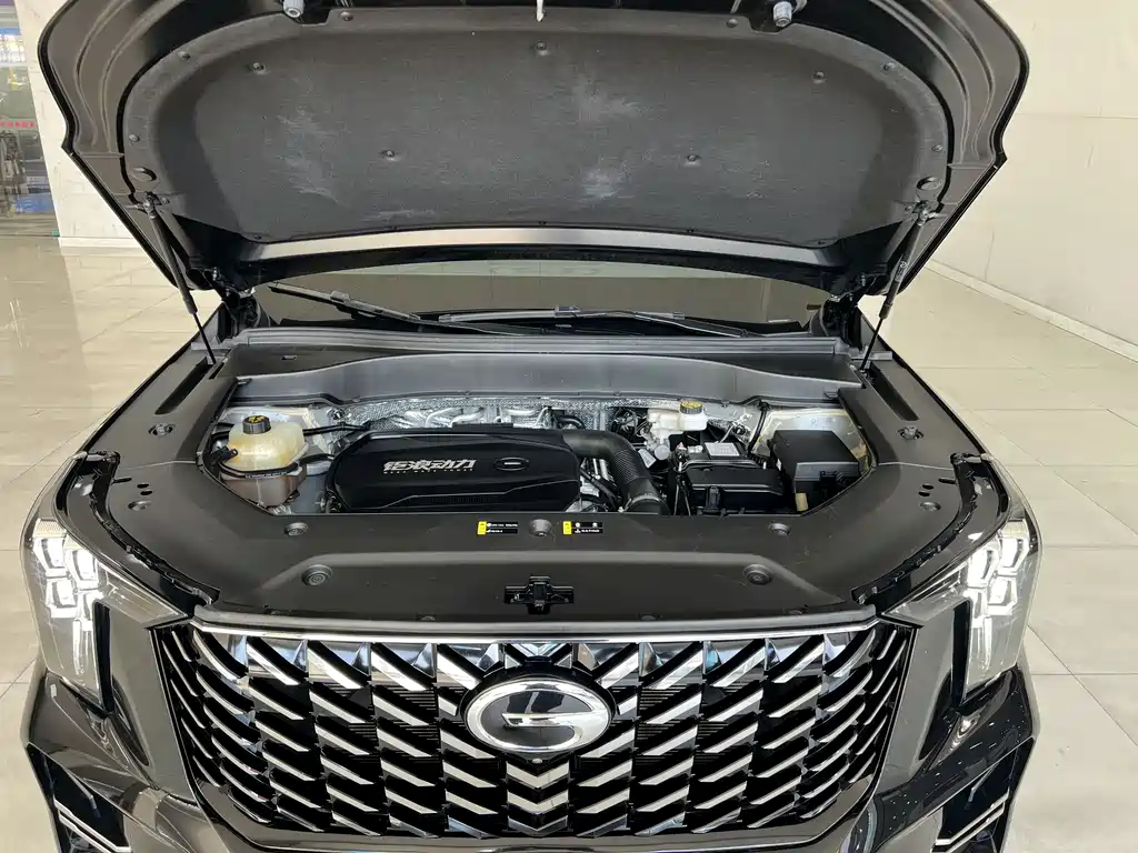 GAC Motor Trumpchi GS8 2023 — фото 18