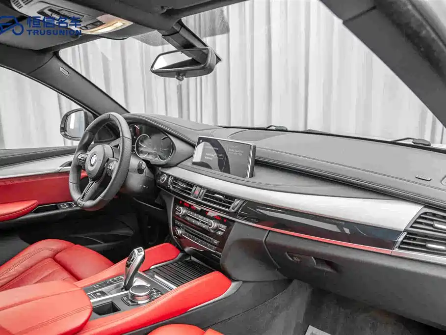 BMW X6 2019 — фото 14