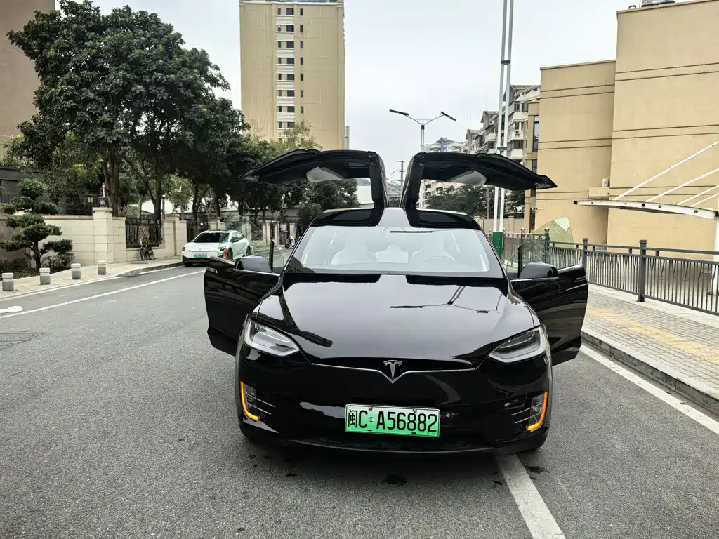 Tesla Model X 2019 — фото 2