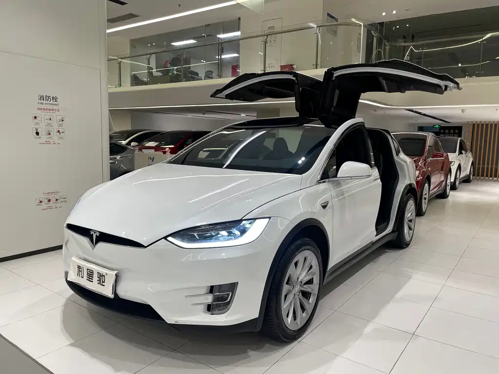 Tesla Model X 2020 — фото 1
