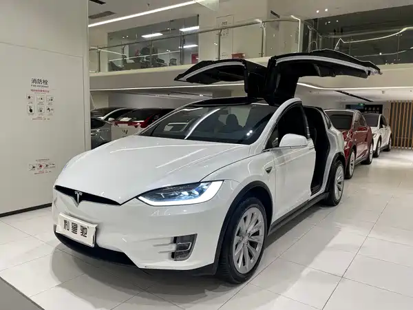 Tesla Model X 2020