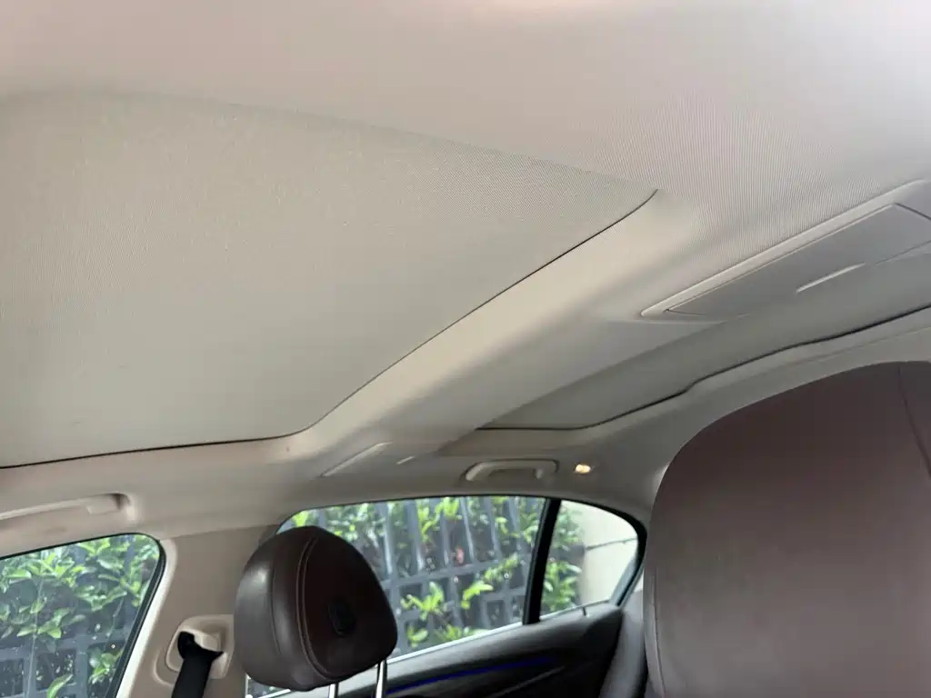 BMW 5 Series New Energy 2020