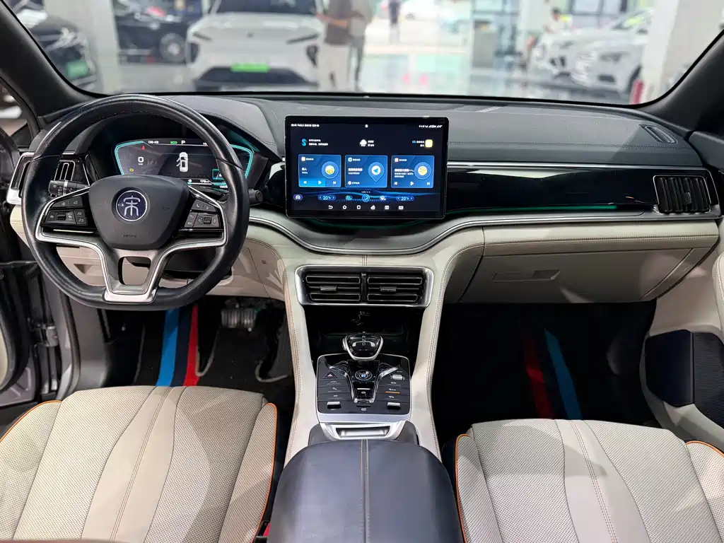 BYD PLUS New Energy 2023 — фото 10