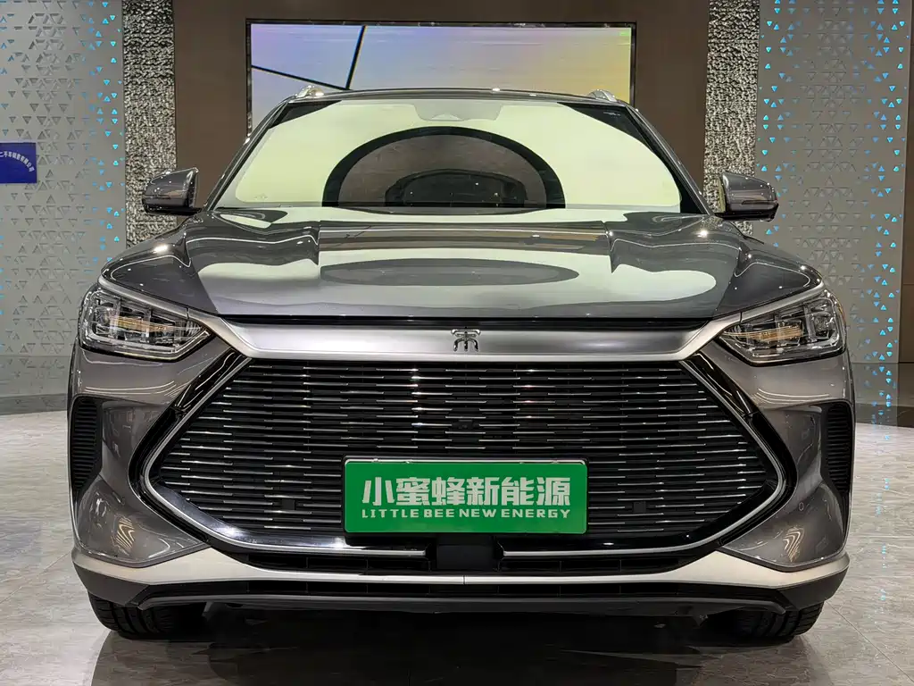 BYD PLUS New Energy 2023 — фото 2