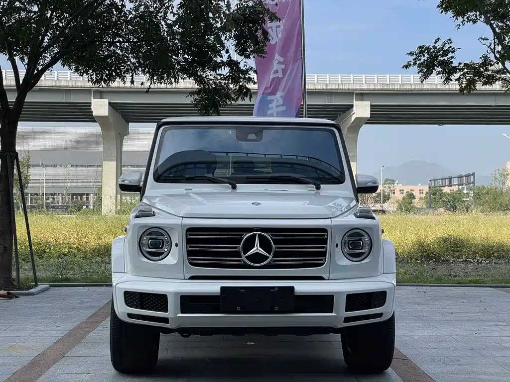 Mercedes-Benz G-Class 2020 — фото 2