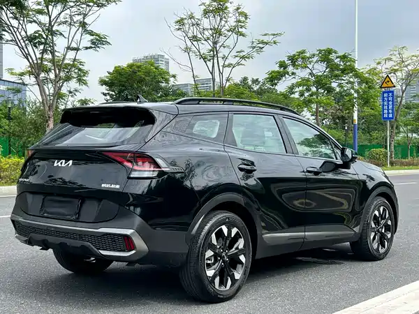Kia Lion Platinum Expands The Boundary 2024
