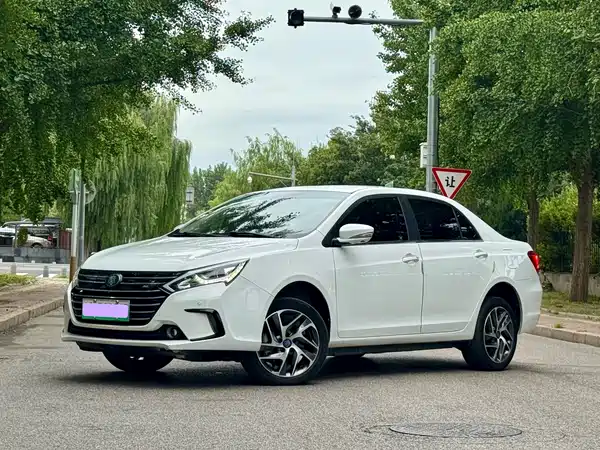 BYD Qin NEV 2019