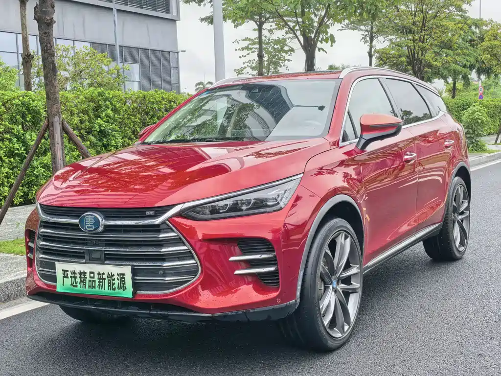 BYD Tang New Energy 2020 — фото 1