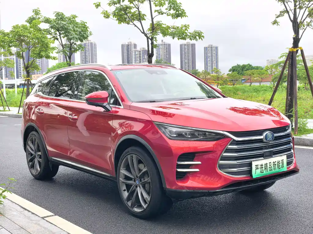 BYD Tang New Energy 2020 — фото 7