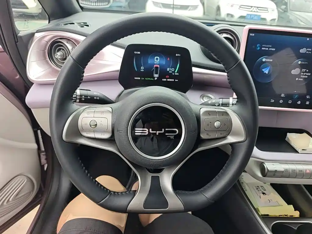 BYD Dolphin 2023 — фото 11